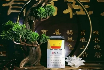 8元金桥香烟一手货源【金桥香烟多少钱】