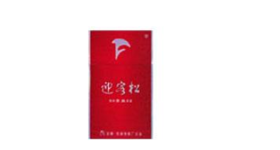 帐篷外烟囱怎么固定的